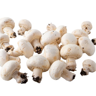 Шампиньоны свежие 500 г - купить в Баргузино